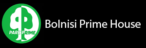 Bolnisi Prime House